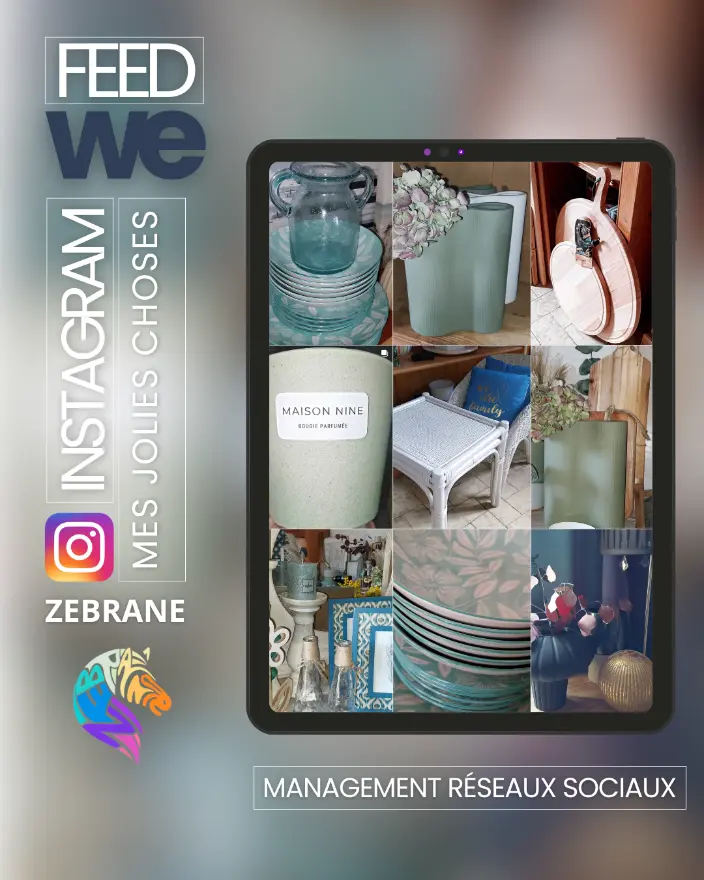 Agence Zebrane - community management  Mes jolies choses déco