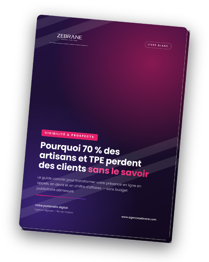 Guide artisan Zebrane - visibilite et prospects